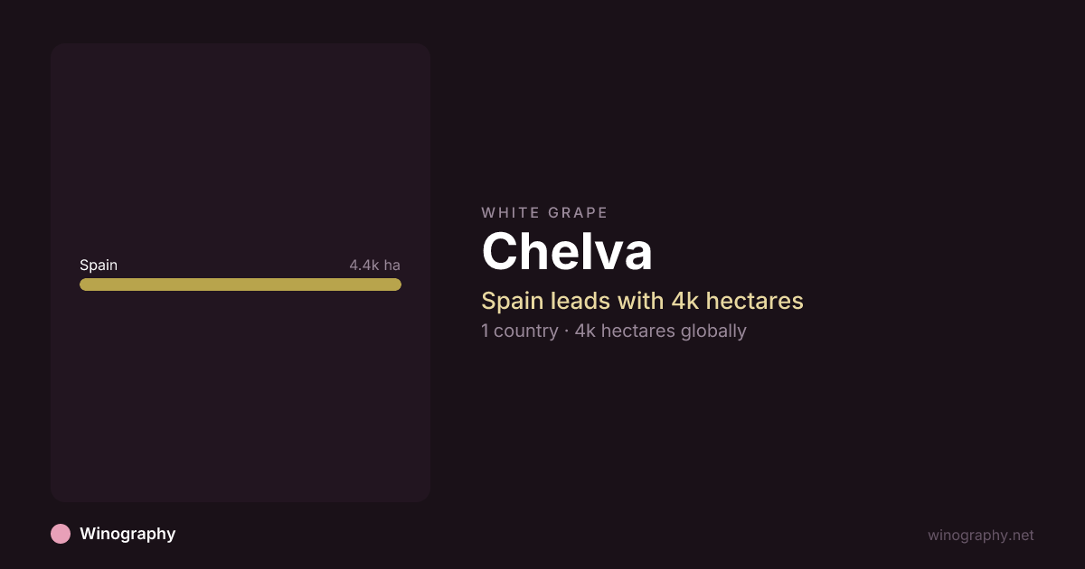 Chelva Wine Grape Production Data | Winography